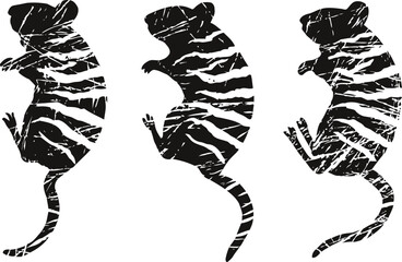 Obraz premium Three abstract rats with zebra stripes in different poses, black and white animal silhouettes