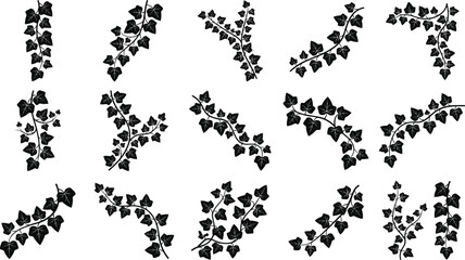 Ivy leaves silhouette collection isolated on white background, climbing vine branches set, botanical decorative elements, nature foliage design, elegant greenery vector illustration bundle © Mahadi's World