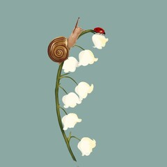Spring botanical clipart with snail and lily of the valley © Tetiana Suchenkova
