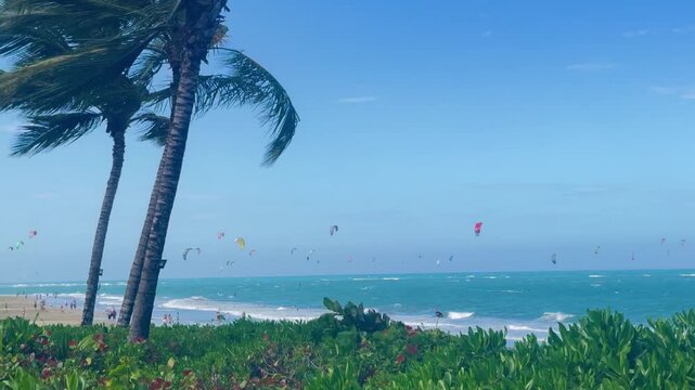 Kiteboarding kites fill the sky on Kite Beach, Cabarete, Dominican Republic