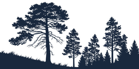 Silhouettes of tall trees against a dark sky with a distant mountain range. © Sp