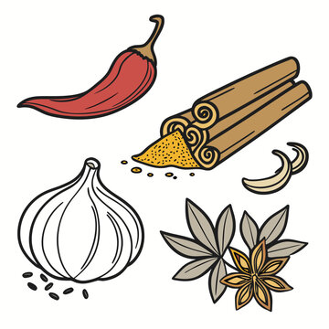 Organic cooking spices and herbs assortment: chili, cinnamon, garlic, and star anise illustration, chili pepper