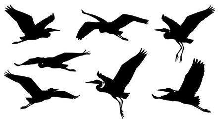 Obraz premium Flying Heron Silhouettes Pack Bird In Flight Vector Collection