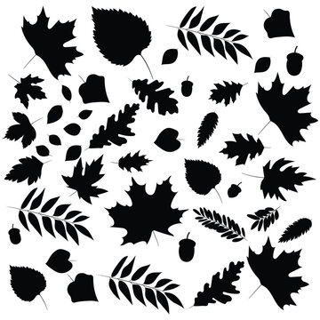 Leaf logo design vector silhouette vector flat illustration design on a white background