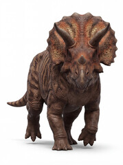 Obraz premium Triceratops Horridus Walking Front View – Prehistoric Dinosaur Approaching