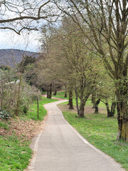 Obraz premium A gentle winding path curves through a park lined with early spring trees and fresh green grass, creating a calm, inviting and natural atmosphere.