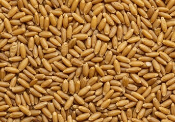 Obraz premium A close-up view of dried golden cereal grains forming a dense, natural texture, ideal for organic food packaging design or healthy eating themes, vegetarian, rye, corn