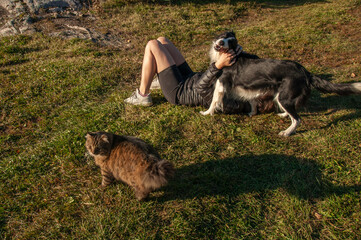 Obraz premium A young woman pets her border collie dog while lying in a sunny meadow with her tabby cat.
