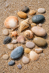 Obraz premium Close-up of colorful seashells and pebbles on sandy beach