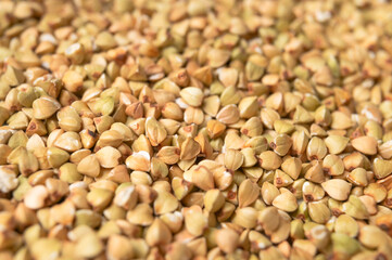 Fototapeta premium Green buckwheat background. Close-up of unprocessed raw green buckwheat kernels. Healthy gluten-free grain. Buckwheat seed texture. Healthy vegan food concept