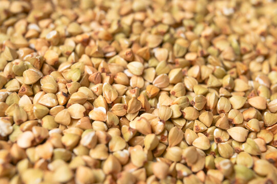 Green buckwheat background. Close-up of unprocessed raw green buckwheat kernels. Healthy gluten-free grain. Buckwheat seed texture. Healthy vegan food concept
