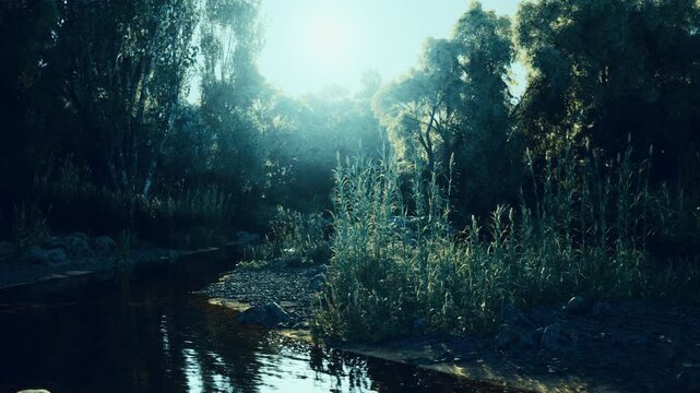Rimlight edging reeds beside narrow creek, deep shadows and warm highlights creating dramatic contrast, narrative potential for mystery or introspective