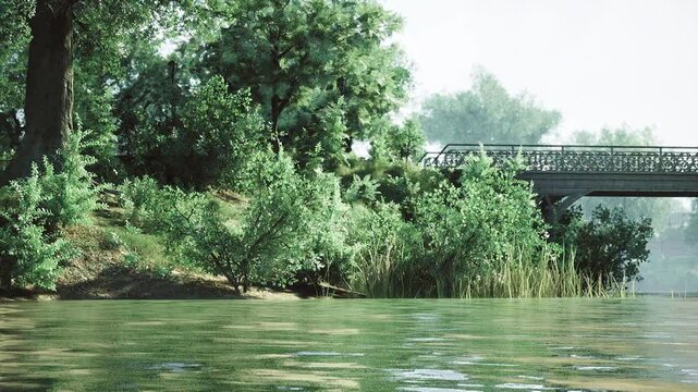 Low waterline perspective showing placid surface and overhanging trees with distant iron bridge, shallow ripples and algae textures creating immersive