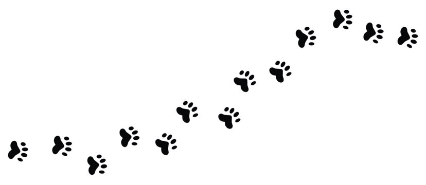 Paw print cat, dog, puppy pet trace. Seamless animal paw print vector pattern with black dog and cat track. Cat and dog walk foot print. Vector illustration. 