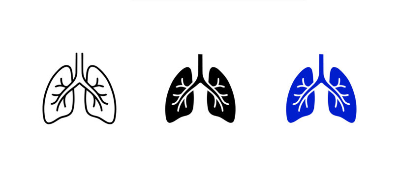 lungs