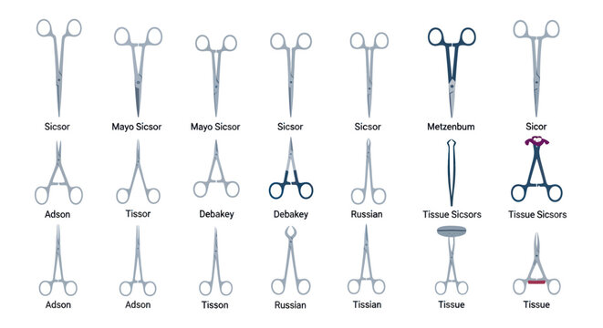 Collection of Surgical Instruments: Various Medical Clamps and Scissors.