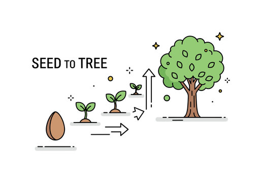 Seed to tree growth journey showing a single seed at the base transitioning upward through small sprout and sapling stages into a full leafy tree, expressing