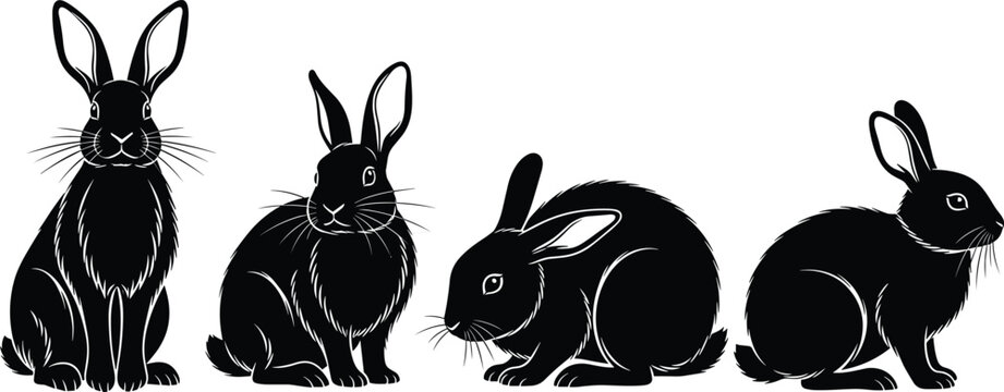Rabbit silhouette illustration set, progressive posture artwork, stylized animal design, vector fur detail graphic, crouch sit concept for comparison