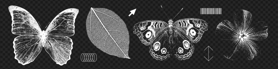 Field flower, leaf and butterflies retro photocopy effect set. Stippling, dotwork pattern 90s vintage images. Vintage negative halftone effect. Vector illustration © LanaSham