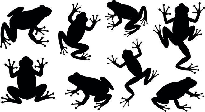 Set of frog silhouettes isolated on white background, amphibian poses collection, wildlife animal vector illustration for nature, biology, and design projects