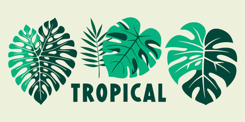 Obraz premium Green monstera and palm leaves with tropical text, vector