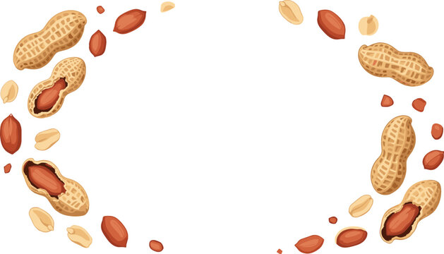 Peanut Frame Border with Whole Nuts, Cracked Shells and Kernels Arranged in Circular Composition Isolated on White Background for Food Design and Snack Packaging