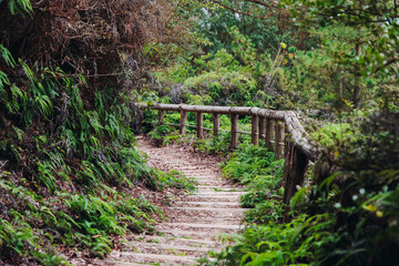 Obraz premium Rabbit Island, Japan, Okunoshima Island landscape, Seto Inland Sea, Takehara, Hiroshima Prefecture, Setonaikai National Park, with beach, lighthouse, museum and ruins, Japan, ferry trip to Okunojima