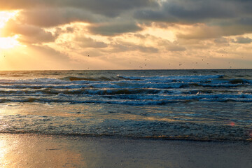 Obraz premium Ocean waves at sunset with dramatic clouds and birds over horizon