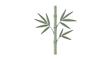 Obraz premium Green bamboo stem with leaves on white background, minimalist, clean, natural, Asian plant