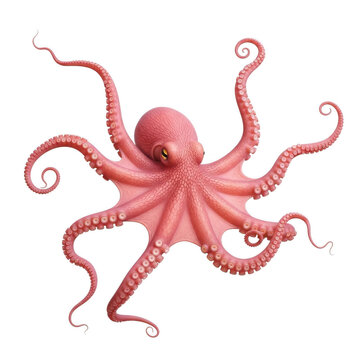 A whimsical and detailed illustration of an octopus with vibrant tentacles