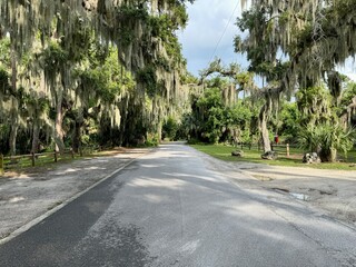 Obraz premium The road into Trimble Park an Orange County Park