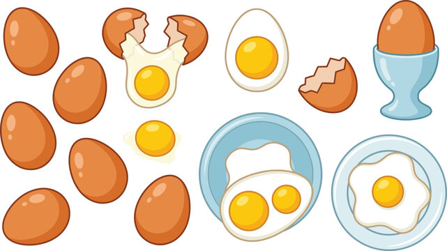 Fresh brown chicken eggs set with fried boiled and broken stages, cad drawing flat vector illustration.