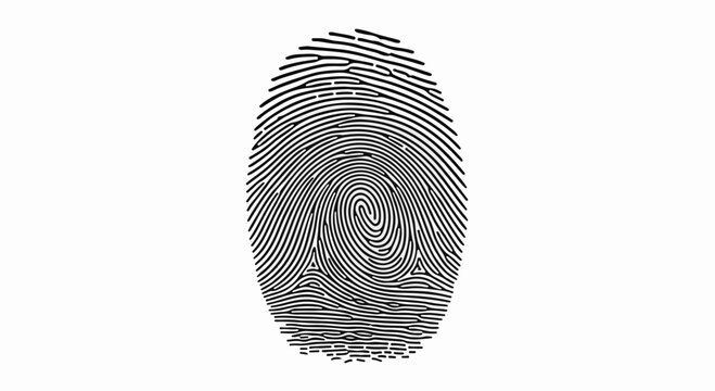 Detailed fingerprint pattern on a white background, symbolizing identity and security