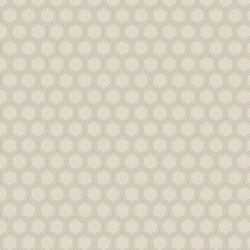 Traditional Japanese Kikko seamless pattern, modern  geometric hexagon shapes
