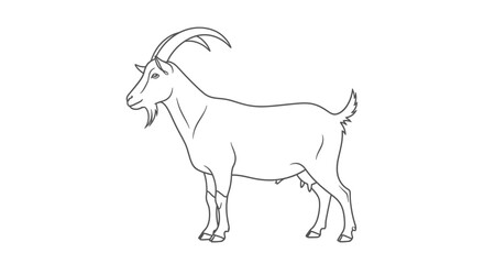 Fototapeta premium Simple outline drawing of a standing goat, side view. Black and white line art illustration of a farm animal on white background.