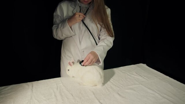 Vet examines white rabbit on table using stethoscope, her gentle hands checking chest in dark studio setting. Young caucasian woman in medical gown stands and works as specialist in veterinary clinic