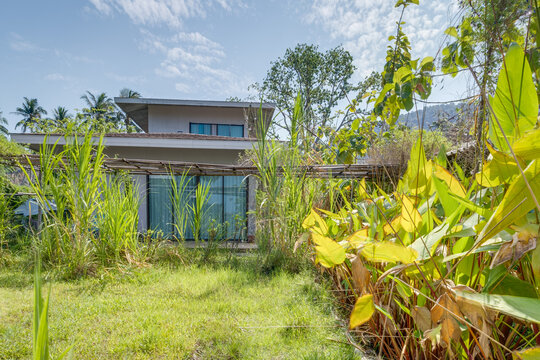 A ground-level view of a resort area featuring minimalist white buildings with thatched-style roofs. A narrow path leads through wild grass and tropical plants