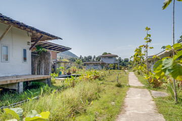 Fototapeta premium A ground-level view of a resort area featuring minimalist white buildings with thatched-style roofs. A narrow path leads through wild grass and tropical plants