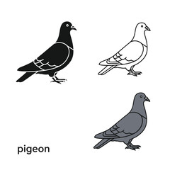 Fototapeta premium Pigeon bird vector set with black silhouette contour line and gray colored icon variations