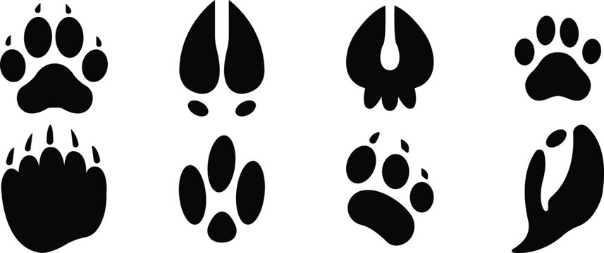 Animal paw footprint set, Wildlife track print icons, Bear dog cat paw mark silhouettes