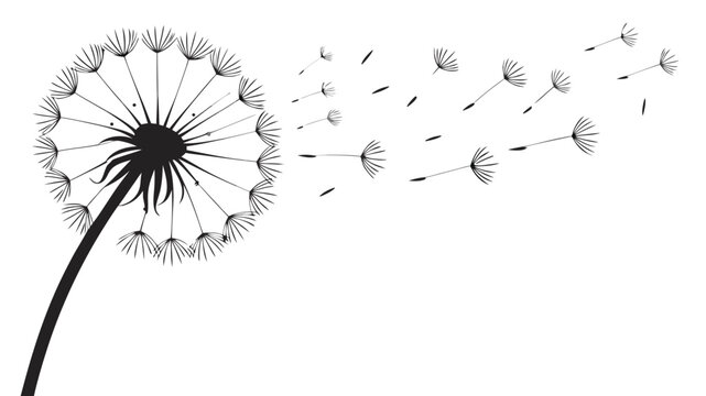 Dandelion blowing in the wind with seeds flying away, nature growth and freedom vector art