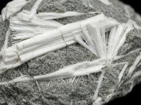 Elongated fibrous crystals of white hydroboracite forming radiating aggregates within a gray granular evaporite matrix.