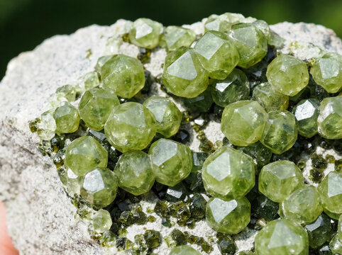 Dodecahedral grossular garnet crystals on a metamorphic matrix.