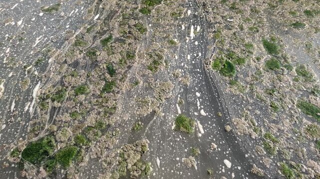 Polluted river water flowing with green algae bloom and chemical foam, showcasing environmental contamination, ecological disaster, and industrial sewage discharge