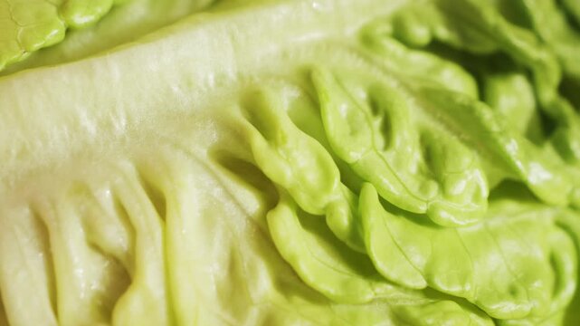 Lettuce leaves are juicy, green, fresh, texture of leaves. High quality 4k footage
