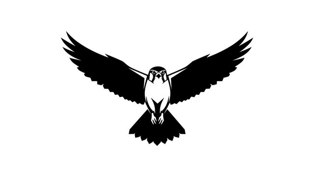 Majestic falcon in flight silhouette with outstretched wings on white background