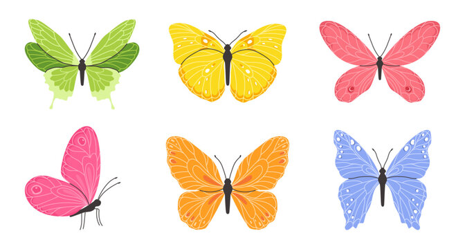 Butterflies with colorful wings for sping and summer design. Cute insects collection for cards, stickers, kids decor. Flat vector illustration.