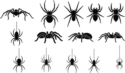 Black spider silhouettes, tarantula icons, hanging creepy arachnids, Halloween horror elements, insect wildlife collection, bug vector illustration, isolated predatory nature design © MdNur