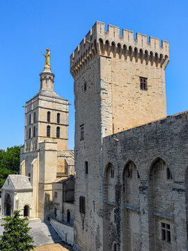 Avignon Cathedral with a gilded statue of Virgin Mary on top, in the center, near is an historical famous Papal palace. One of the largest and most important medieval Gothic buildings in Europe.France