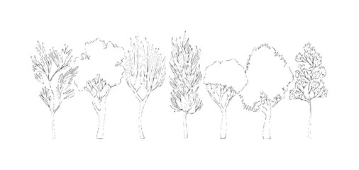 Fototapeta premium Black and white line of seven diverse trees 1